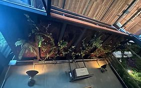 New York Loft & Japanese Magic By V4Skin